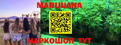 mix Новозыбков